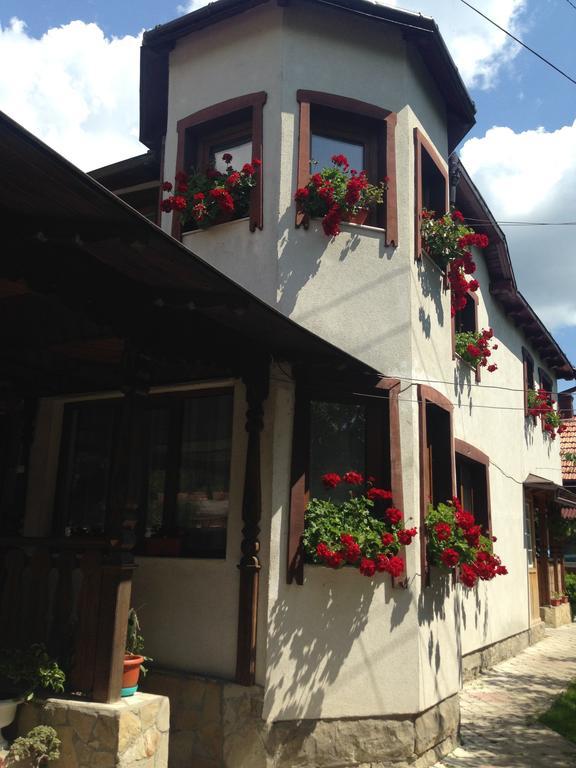 Pensiunea Casa Bianca - Bucovina Вама Екстериор снимка